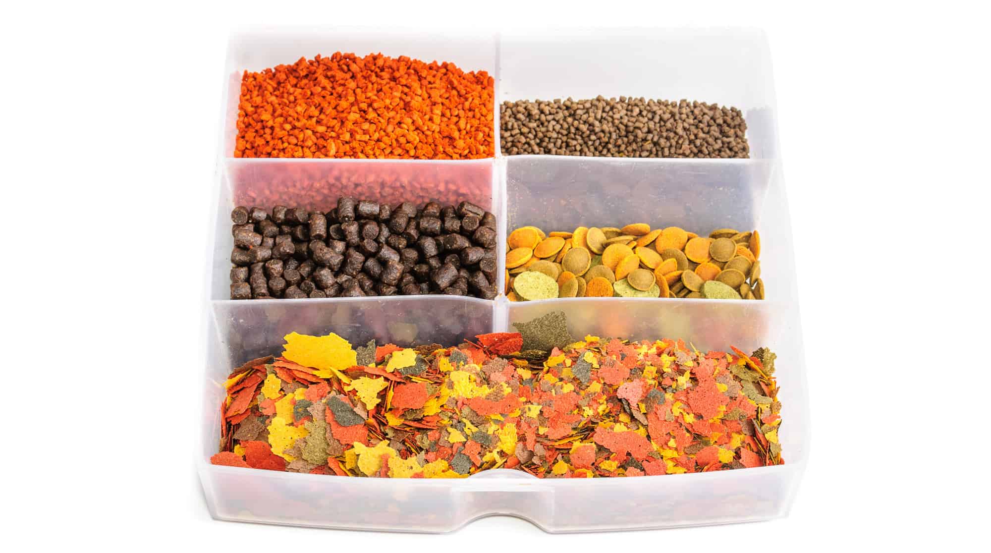 types-of-fish-feed
